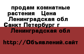 продам комнатные растения › Цена ­ 200 - Ленинградская обл., Санкт-Петербург г.  »    . Ленинградская обл.